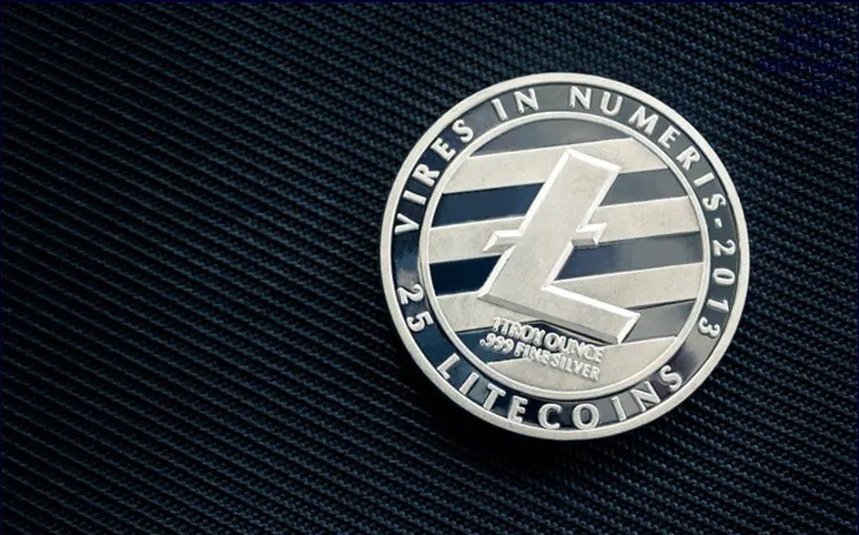 What is Litecoin and what are its advantages and disadvantages?