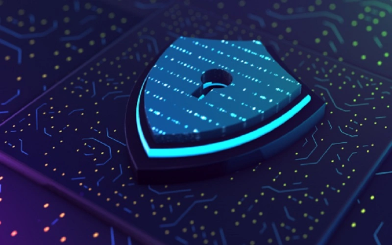 Data Privacy on Public Blockchains: Addressing Challenges
