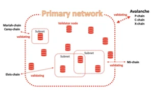 Avalanche Subnets: Customizable Blockchains for Enterprises