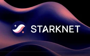 StarkNet: ZK-Rollup for General Computation